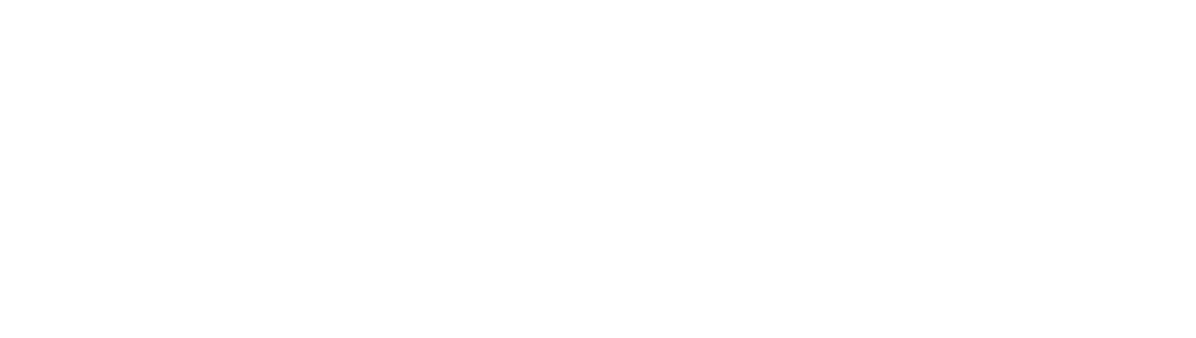 BINGO Logo