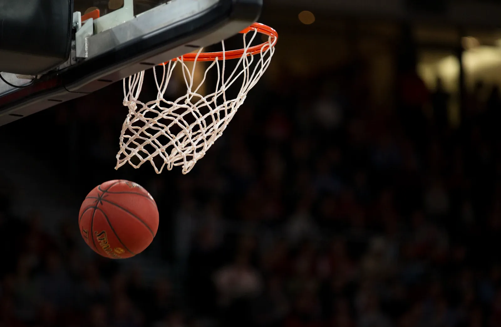 Every sports venue asks for a different balance of performance, durability, and maintenance control.